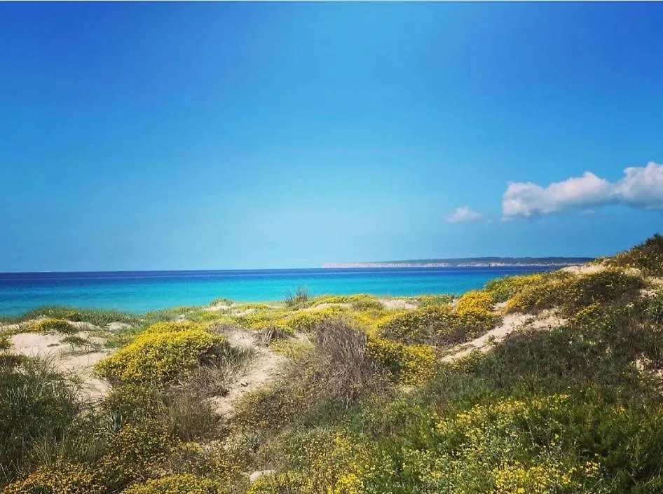 Casa Migjorn, Immersa Nella Natura A Pochi Passi Dal Mare Es Caló de Sant Agustí Casa vacanze